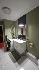 łazienka z umywalką i pralką w obiekcie Superbe appartement dans un quartier neuf et calme w Strasburgu +14 zdjęć