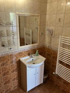 a bathroom with a sink and a mirror and a shower at Vila Limba in Smokovce +46 photos