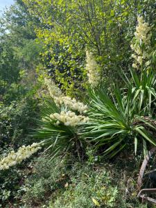 Photo de la galerie de l'établissement le casino, à Florentin-la-Capelle
