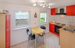 Kuchyň nebo kuchyňský kout v ubytování Ferienhaus Röddelin