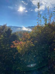 Photo de la galerie de l'établissement le casino, à Florentin-la-Capelle