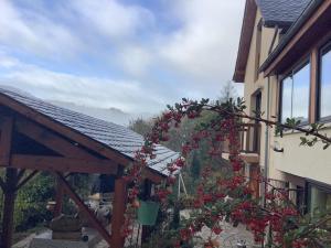 Photo de la galerie de l'établissement le casino, à Florentin-la-Capelle