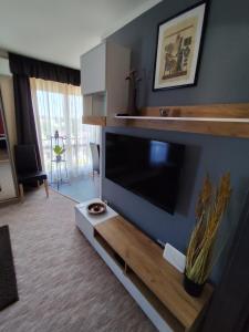 TV a/nebo společenská místnost v ubytování GT Apartman