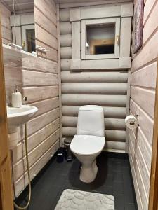 a bathroom with a toilet and a sink at Latvahonka Cottage in Jämsä