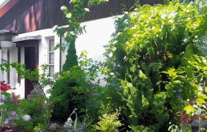 a white house with a bunch of green plants at Ferienhaus Mahlow in Mahlow