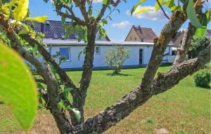 Gallery image of Ferienhaus Feldberger in Dolgen