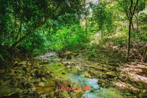 Φυσικό τοπίο κοντά σε αυτή η παραθεριστική κατοικία