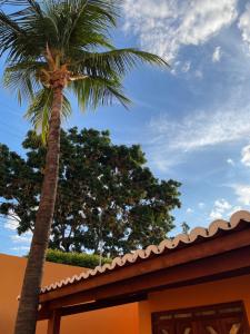 a palm tree next to a house with a roof at Pousada Conviver-Unidade 1 in Juazeiro do Norte