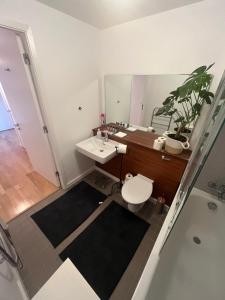 a bathroom with a sink and a toilet and a mirror at Luxurious Entire Guest House with Grand Living Space and Panoramic Balcony Views in Dublin +13 photos
