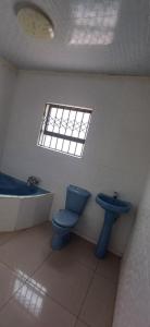 bagno con servizi igienici blu e lavandino di Siba's Place a Ga-Rankuwa