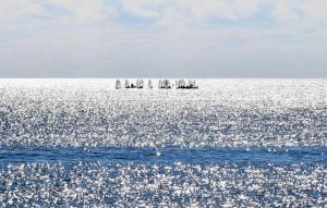 eine Gruppe von Segelbooten auf dem Meer auf dem Wasser in der Unterkunft Pet Friendly Apartment in Marina di Modica + 16 Fotos