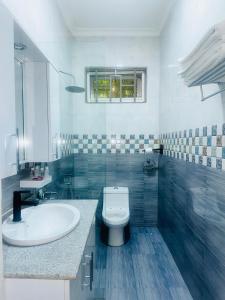 a white bathroom with a sink and a toilet at Mkomazi Hotels and Camps in Hegoma