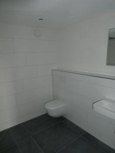 a white bathroom with a toilet and a sink at Naturapartment SCHWARZWALDSEELE Kniebis in Freudenstadt