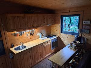 a kitchen with wooden cabinets and a sink in a cabin at Cabin Dakota in Ermelo