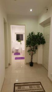 bagno con servizi igienici e un albero in vaso di Holiday Apartment Essen a Essen