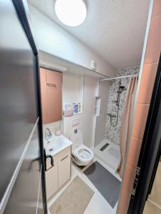 Un baño pequeño con inodoro y lavabo. en Apartman Bedem, en Novi Pazar