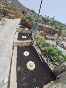 Fotografie z fotogalerie ubytování Casa Luis Pico v destinaci Granadilla de Abona