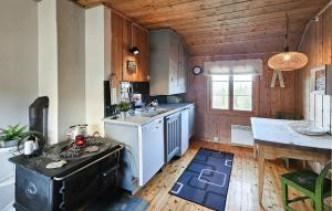 Kuchyň nebo kuchyňský kout v ubytování 4 Bedroom Awesome Home In Hemsedal + 18 fotografií