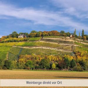 a vineyard hill with a house on top of it at Apartmenthaus Schlag in Naumburg