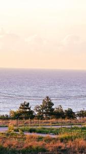 コスティネシュティにあるBeach Please VIPの木と柵の海の景色
