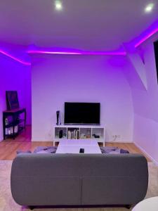 TV a/nebo společenská místnost v ubytování Le Petit Quincy, appartement T2 avec terrasse