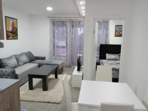 טלויזיה ו/או מרכז בידור ב-Apartman Mijatović Divčibare