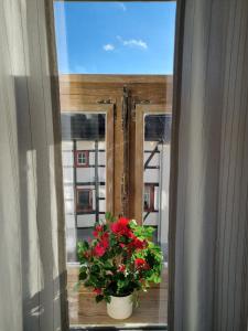 una finestra con un vaso di fiori sul davanzale di una finestra di Nettersheimer Hof 1857 a Nettersheim