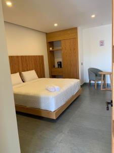 a bedroom with a bed and a desk and a chair at Casa Begonias Hotel mas Villas in Jiutepec