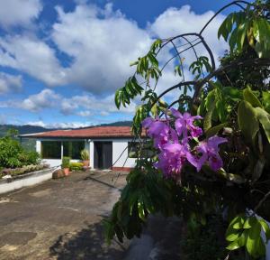 Zahrada ubytování Casa campestre Finca la Roca