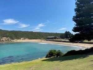 a view of a beach with a tree and the ocean at Southern Ocean Motor Inn in Port Campbell