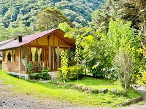 a small house in the middle of a forest at Munay Wasi by Hospedaje Puntzán in Baños