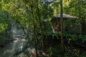 a house in the jungle next to a river at Nampien Yorla Pa in Ban Nôn
