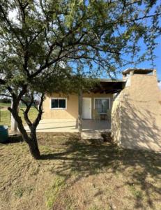 a small house with a tree in front of it at Casa WIWI in La Estancia