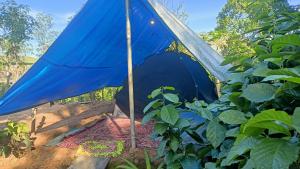 Zahrada ubytování Freedom camp Ella