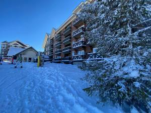 pokryta śniegiem ulica przed budynkiem w obiekcie Slope-side Snowshoe Village Condo w mieście Snowshoe