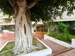 Imagen de la galería de Apartsalou Lea, en Salou
