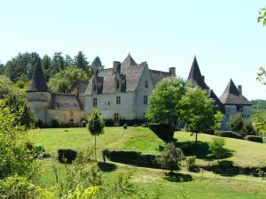 an old castle on a green field with trees at Chaleureuse escapade périgourdine avec terrasse et mezzanine - FR-1-616-419 in Auriac-du-Périgord