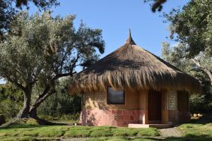 a small hut with a thatched roof and a tree at Habitación Ancestral Sol Muisca in Villa de Leyva