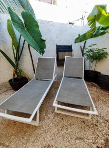 2 Betten neben einer Wand mit Pflanzen in der Unterkunft Little Oasis Cozumel in Cozumel