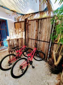 zwei Fahrräder neben einem Holzzaun geparkt in der Unterkunft Little Oasis Cozumel in Cozumel + 4 Fotos