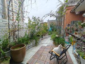 koko's garden and cats --4mins walk from jingjusi metro st ation, English-speaking service外面的花园