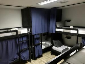 Foto dalla galleria di Crazy Bears Hostel a Moalboal