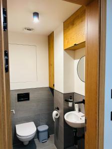 Koupelna v ubytování Hotel Ovruč apartmány Vadian