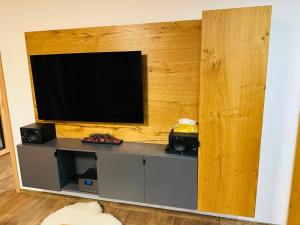 TV a/nebo společenská místnost v ubytování Hotel Ovruč apartmány Vadian