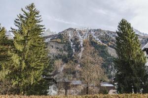 Gallery image of Chamonix Sud - Jonquilles 22 - Happy Rentals in Chamonix-Mont-Blanc