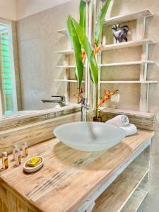 Gambar di galeri bagi Miri Coconut 1 bdr flat with pool in a calm area near the sea and town di Punaauia
