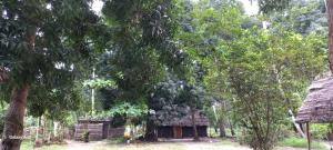 Κήπος έξω από το Kv Jungle Bungalows