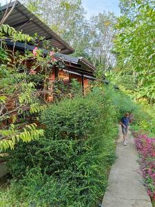 Zahrada ubytování Mook Bamboo Bungalows