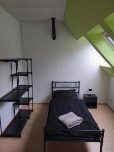 a bedroom with a bunk bed and a ladder at Ferienwohnung Höfen bei Uchte in Uchte