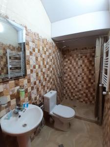 a bathroom with a toilet and a sink at Château Fort de Manavi, Boutique Hotel in Manavi +44 photos